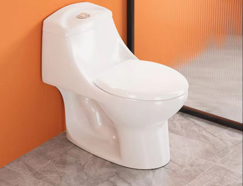 Defolu alafranga tuvalet taşı